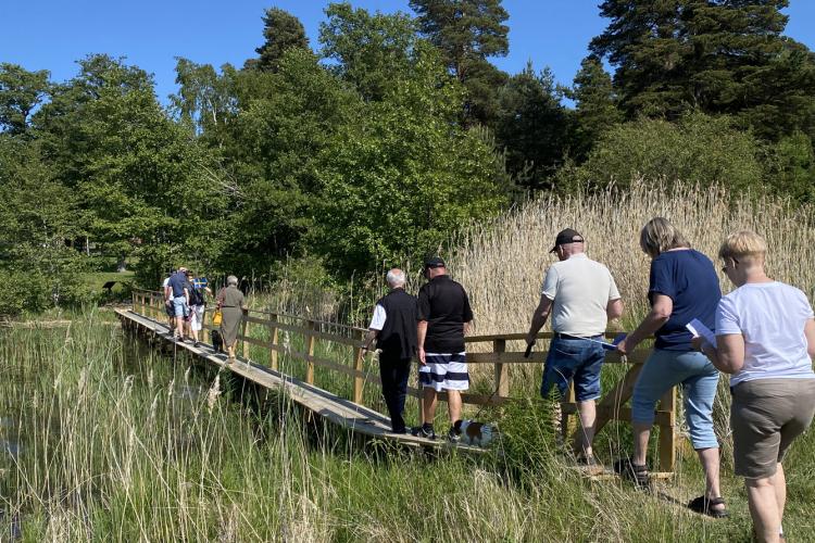 En av de två spänger som byggts av Byalaget för "torrskodd" vandring.