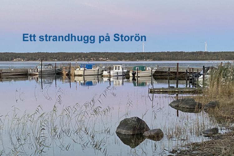 Storön